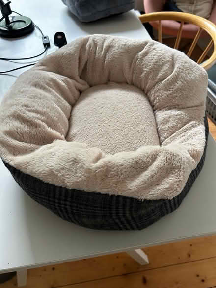 Photo of free Animal bed (Law DD3) #1
