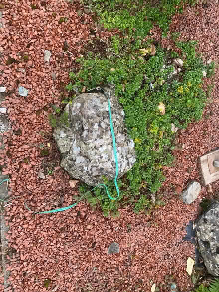 Photo of free Rockery ?concrete stones (Sockbridge CA10) #1