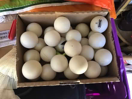 Photo of free Table tennis bats & balls (IP4) #2