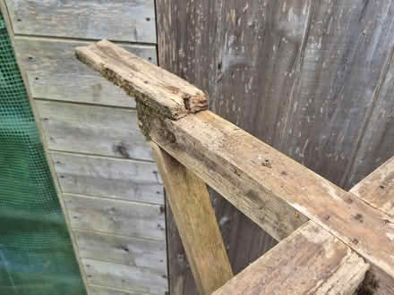 Photo of free Bird Table Garden Project (Handforth SK9) #4