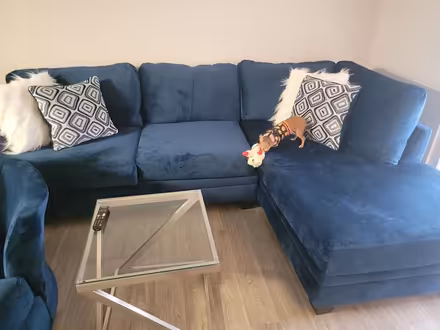 Photo of free Navy Blue Sectional (Near WeHo) #1