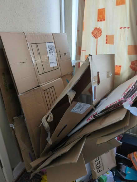 Photo of free Packing boxes (Terenure) #1