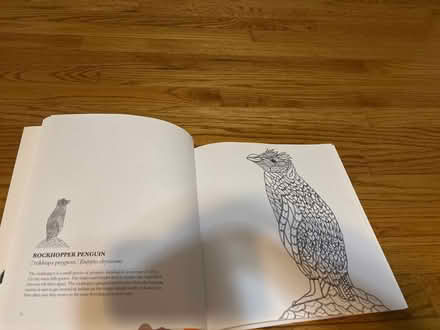 Photo of free Barely used Adult coloring book (Glen Burnie) #2