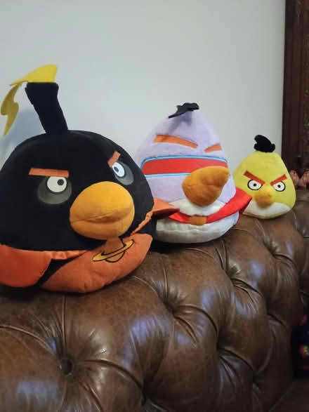 Photo of free Angry birds soft toys (Devon Park) #1
