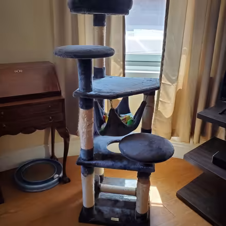 Photo of free Multi-level cat tree with hammock (Harvard Square) #3