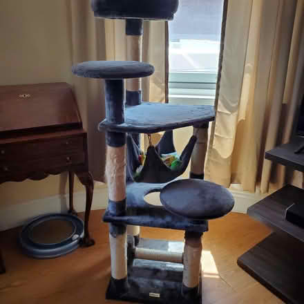 Photo of free Multi-level cat tree with hammock (Harvard Square) #3