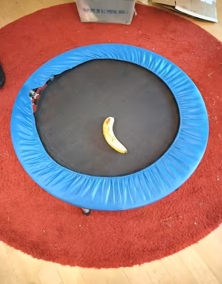 Photo of free Trampoline for indoor use (north Cambridge) #1