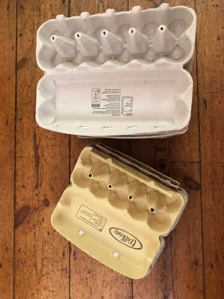 Photo of free Egg boxes (Chatham ME4) #1