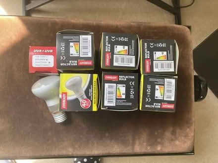 Photo of free Light bulbs - as shown (Barnsbury Street, Islington N1) #1