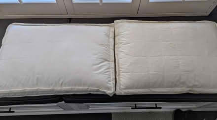 Photo of free Pillows (Shoreline, Alameda) #3