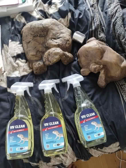 Photo of free Reptile caves and cleaning fluid (Hollingdean) #1