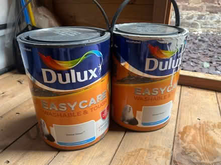 Photo of free Goose down paint one full one half full (Great Boughton CH3) #1