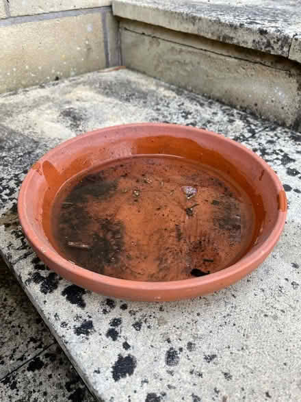 Photo of Plant pot saucers (Weston Park) #1