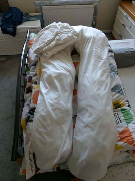 Photo of free U-shaped maternity pillow (Franklands Village RH16) #1