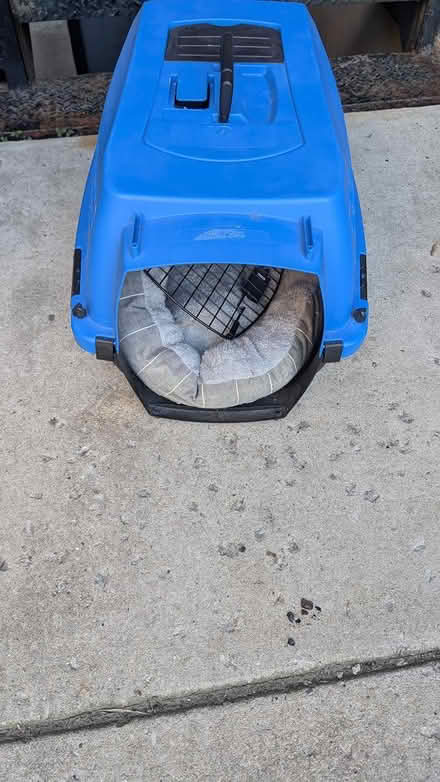 Photo of free Small Pet Carrier with Bed (Albany Park) #1