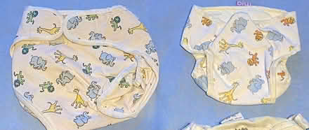 Photo of free Reusable Cloth Nappies Bundle - Flats/Prefolds and Nappy Wra (Hersham KT12) #3