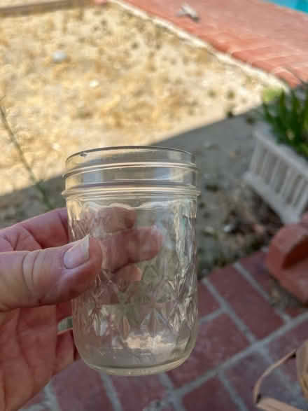Photo of free Small jelly canning jars (91040) #1