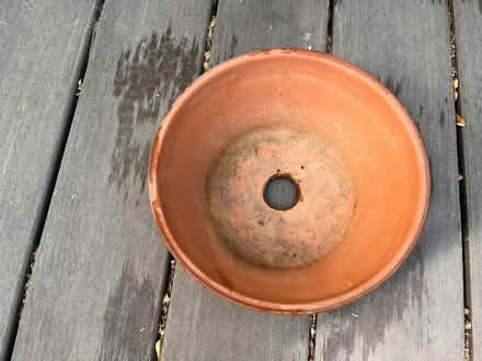 Photo of free Terracotta plant pot (Porter Square, Cambridge) #2