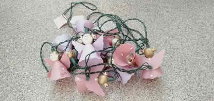 Photo of free Garden Fairy Lights (OX1 South Oxford) #1