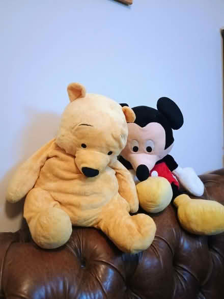 Photo of free Mickey and Winnie the Pooh (Devon Park) #1