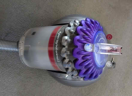 Photo of free dyson big ball animal vacuum cleaner (Tring Wharf HP23) #1