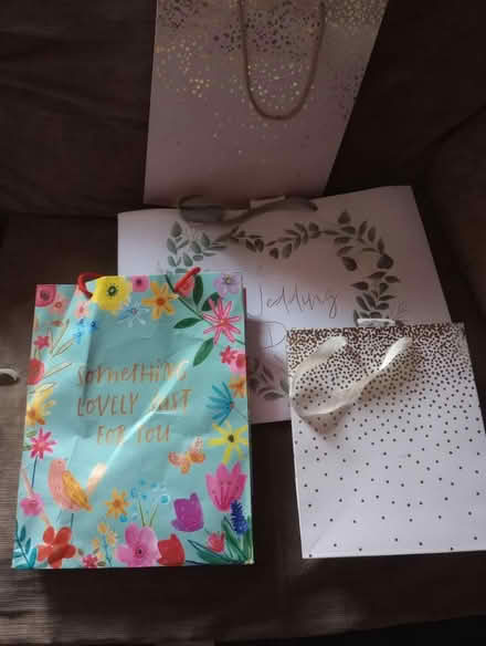 Photo of free Gift bags (Moldgreen HD5) #1
