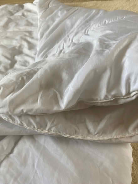 Photo of free Single duvet (Dunfermline KY12) #3