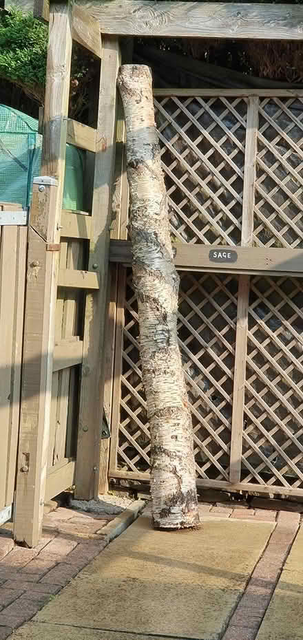 Photo of free Wood - BD13 (Queensbury BD13 off Roper Lane) #1