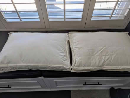 Photo of free Pillows (Shoreline, Alameda) #1