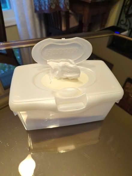 Photo of free Wet wipes & container (Old Barrhaven) #1