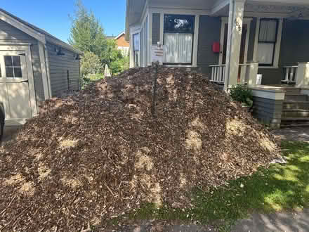Photo of free cedar chips, you haul (Ballard) #2