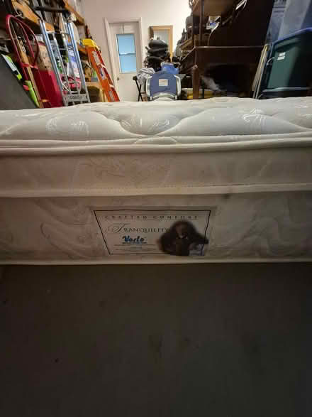 Photo of free Verlo Queen Mattress (Inverness) #2