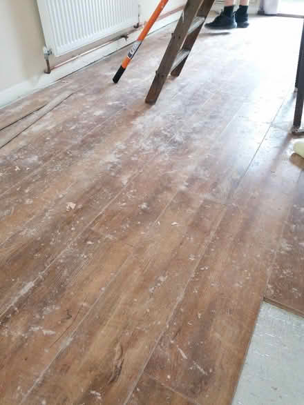 Photo of free Laminate flooring (CT1 3QQ) #2