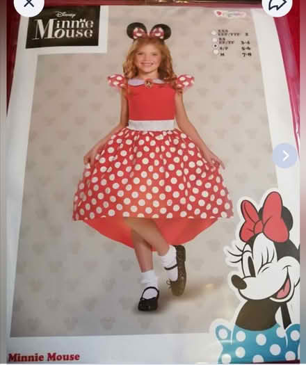 Photo of free Disney costume (Worcester) #1