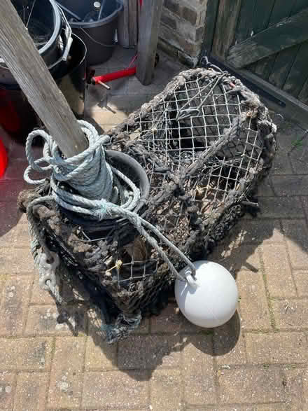 Photo of free Lobster Pot (CT11) #1