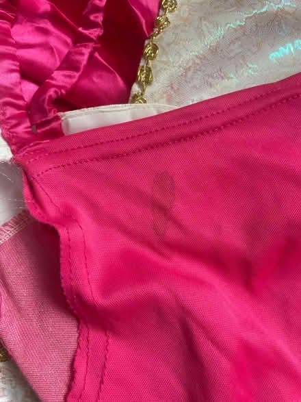 Photo of free Adult Sleeping Beauty Costume - Size 10 (Fairfield LA1) #2