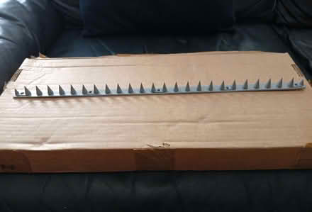 Photo of free Security fence/wall spikes (Springburn G21) #1