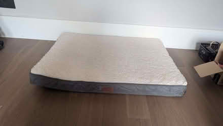 Photo of free Dog Beds (Hove Station area BN3) #2