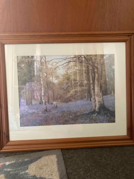 Photo of free 2 framed prints (Fishcross FK10) #2