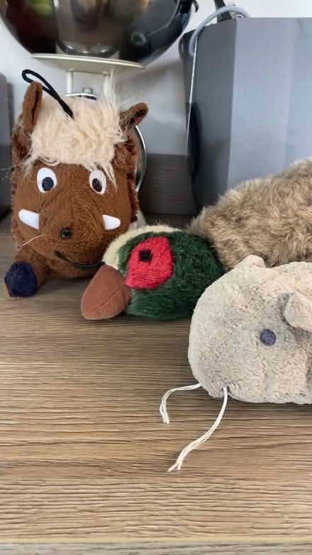 Photo of free Soft toys for dogs (Bloxwich WS3) #1