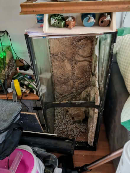 Photo of free Fish tank (Portsmouth PO1) #1