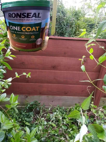 Photo of fence paint (Bronllys LD3) #1