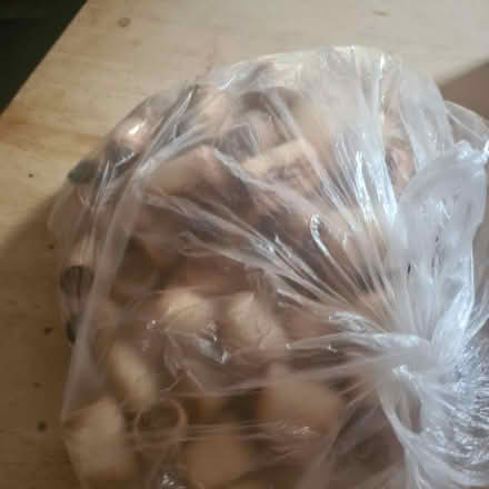 Photo of free Dog Treats Loads - bag full (TW7) #4