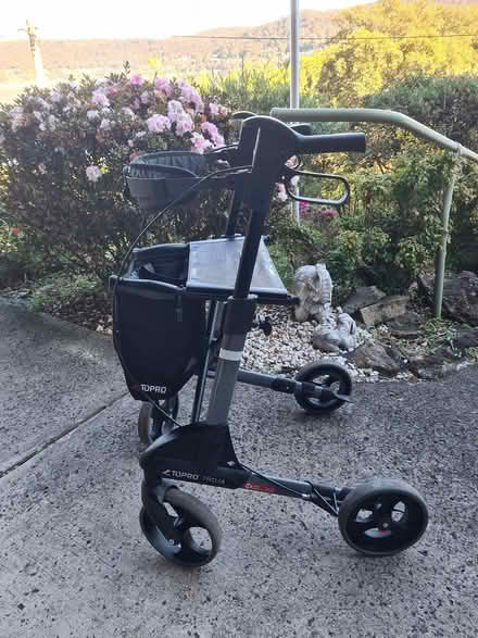 Photo of free Walking Aids (Point Clare) #2