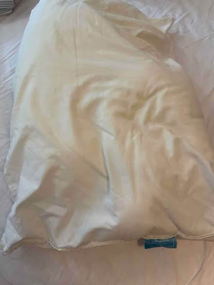 Photo of free Pillow (Highbury N5) #1