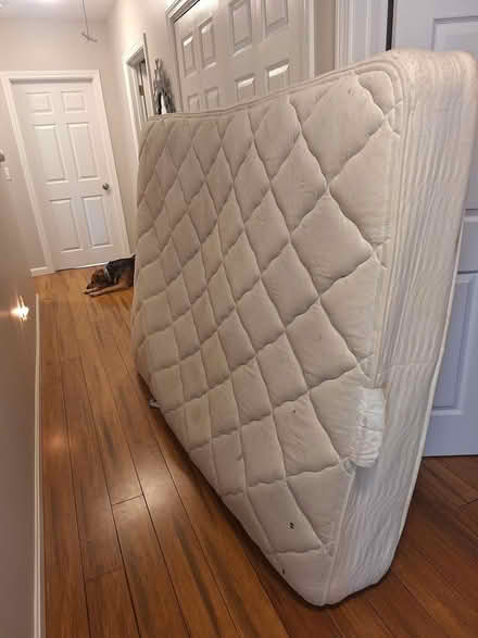 Photo of free Heavily used Queen mattress (Near water st bridge) #1