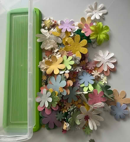 Photo of free Flowers for craft or card-making (CM1 Broomfield) #1