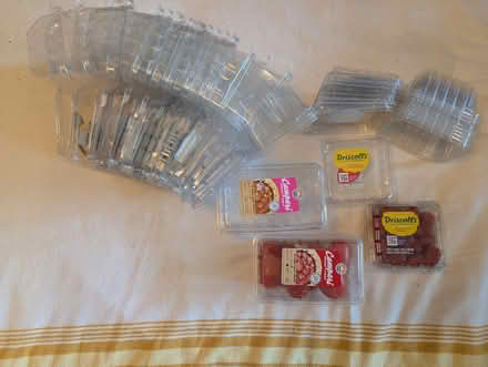 Photo of free Plastic Lidded Produce Containers (Yonge and Lawrence) #1
