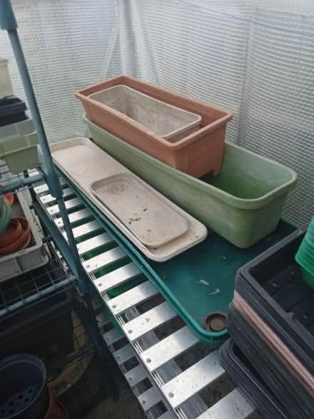 Photo of free Greenhouse clearance (Ruislip HA4) #3