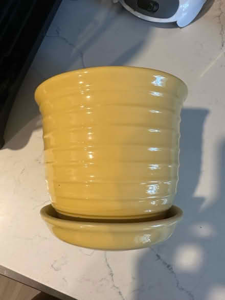 Photo of free Yellow flowerpot (20001) #3